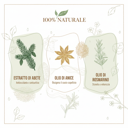 Infografica ingredienti naturali Kit DiksoNatura - Abete Anice Rosmarino 100% Bio